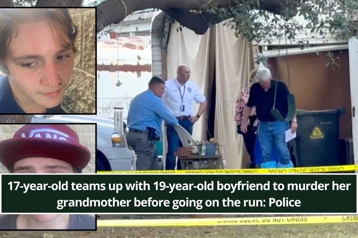 17-year-old teams up with 19-year-old boyfriend to murder her grandmother before going on the run: Police