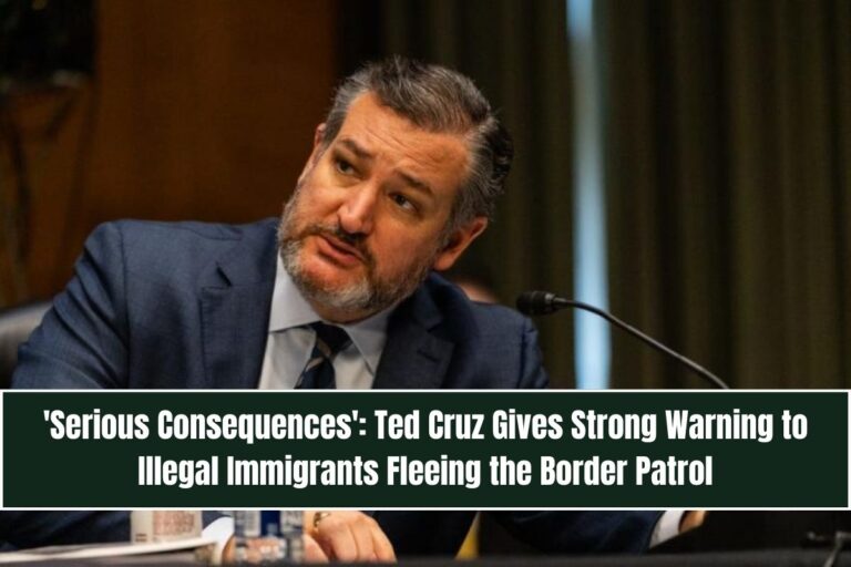 'Serious Consequences': Ted Cruz Gives Strong Warning to Illegal Immigrants Fleeing the Border Patrol