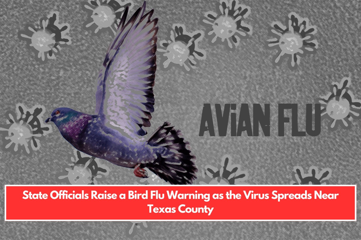 State Officials Raise a Bird Flu Warning as the Virus Spreads Near Texas County