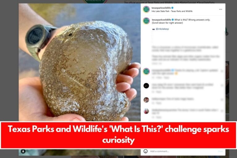 Texas Parks and Wildlife's 'What Is This?' challenge sparks curiosity